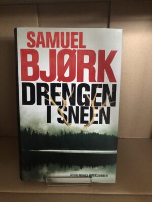 Bjørk drengen i sneen Laesehesten-silkeborg.dk